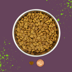 Benevo emballage 2 kg – emballage pratique pour stockage et utilisation.