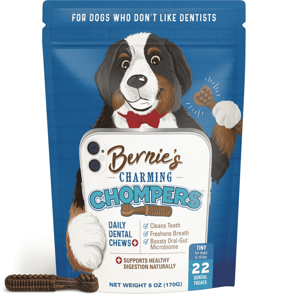 Bernie's Charming Chompers – nettoyage des dents pour chien et haleine plus fraîche.