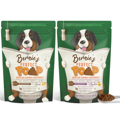 Bernie's Perfect Poop, sachet fromage cheddar, favorise une digestion potentielle et des selles régulières.
