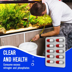 Beseder Bio Capsules eau claire : amélioration de la clarté de l'eau du bac