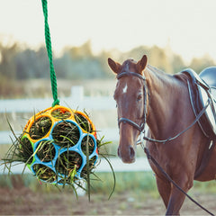 Jouet suspendu Besimple pour cheval dans le paddock, divertissement durable.