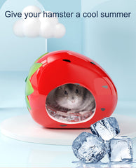 Besimple Hamster Maison Biberon: design unique pour garder le petit compagnon près.