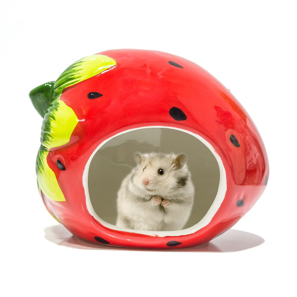 Besimple Hamster Maison Pastèque: refuge sûr et rafraîchissant pour petits rongeurs.