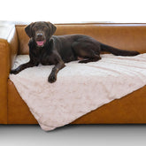 Best Friends by Sheri Calming Lux Blanket, vue rapprochée: douceur du pelage pour un cocon rassurant.