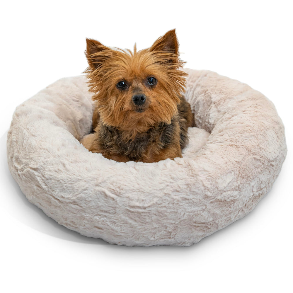 Best Friends par Sheri – lit beignet oyster 18x18, vue générale, cocon apaisant pour petit chien.