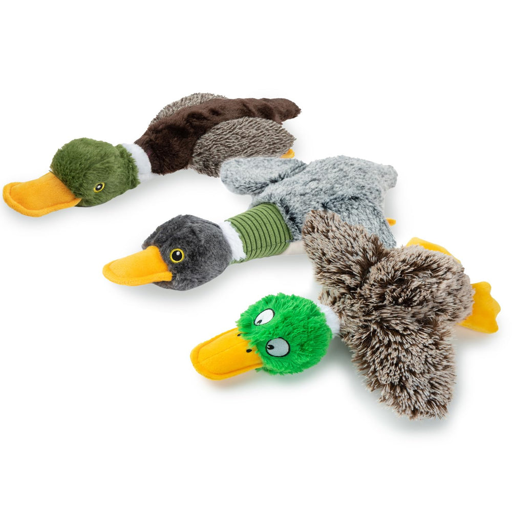 Best Pet Supplies canard Mallard interactif pour chiens gris, stimule le jeu et le mordillage.