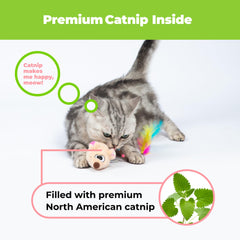 Catify par Best Pet Supplies, corps maillé élastique pour un rebond imprévisible.