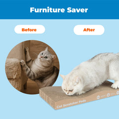 Best Pet Supplies Catify grattoir Ondes – utilisation en intérieur pour divertir et protéger les meubles.