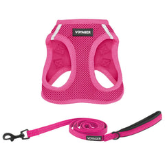 Harnais Voyager Best Pet Supplies en maillage fuchsia pour chien léger.