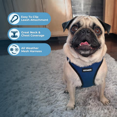 Best Pet Supplies Voyager Harnais – anneaux double-D renforçant la sécurité