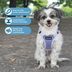 Harnais Best Pet Supplies Voyager en mesh lavande, ajustement précis et confort durable