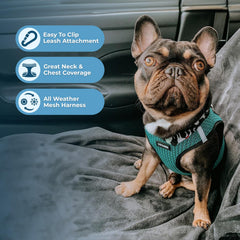 Harnais Voyager Best Pet Supplies, fermeture velcro et boucle robustes.
