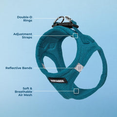 Best Pet Supplies Voyager harnais turquoise, boucle robuste, sécurité renforcée pendant les balades.