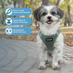 Harnais Voyager Moss Green Best Pet Supplies, vue latérale, bandes réfléchissantes pour sécurité