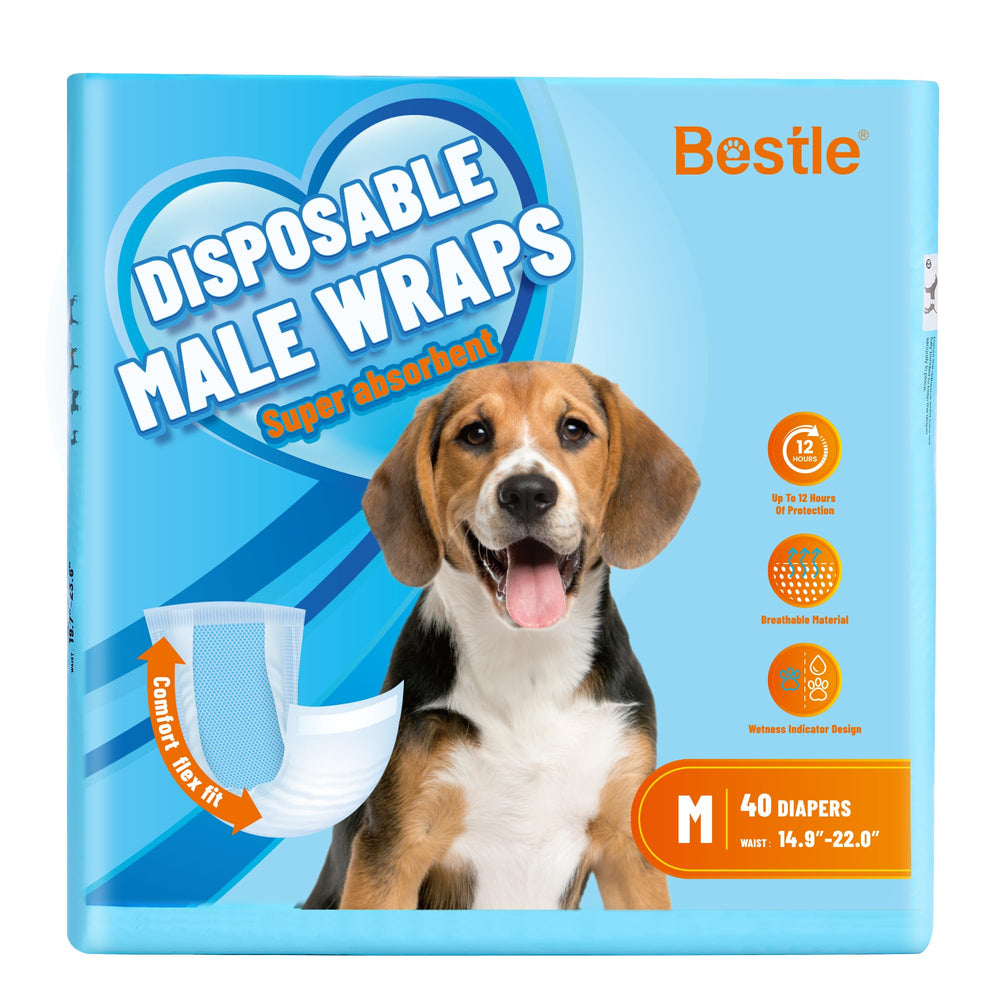 Bestle couches-chien-male etanche: protection fiable lors des balades et voyages.
