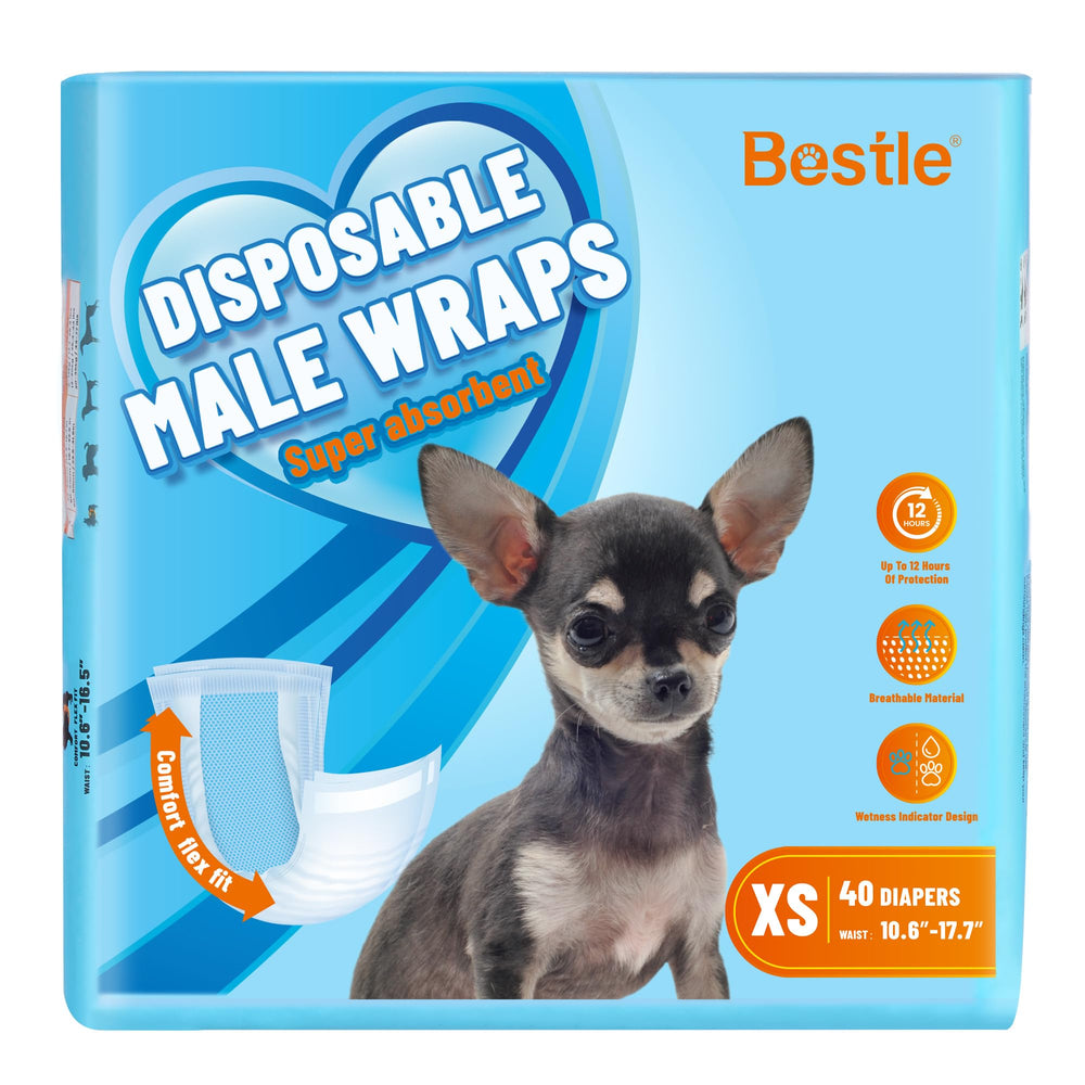 BESTLE couches mâle wrap XS – paquet visible, protection fiable pour le quotidien
