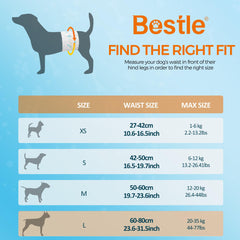 BESTLE indicateur-humidite sur couche-chien-male pour changer rapidement.