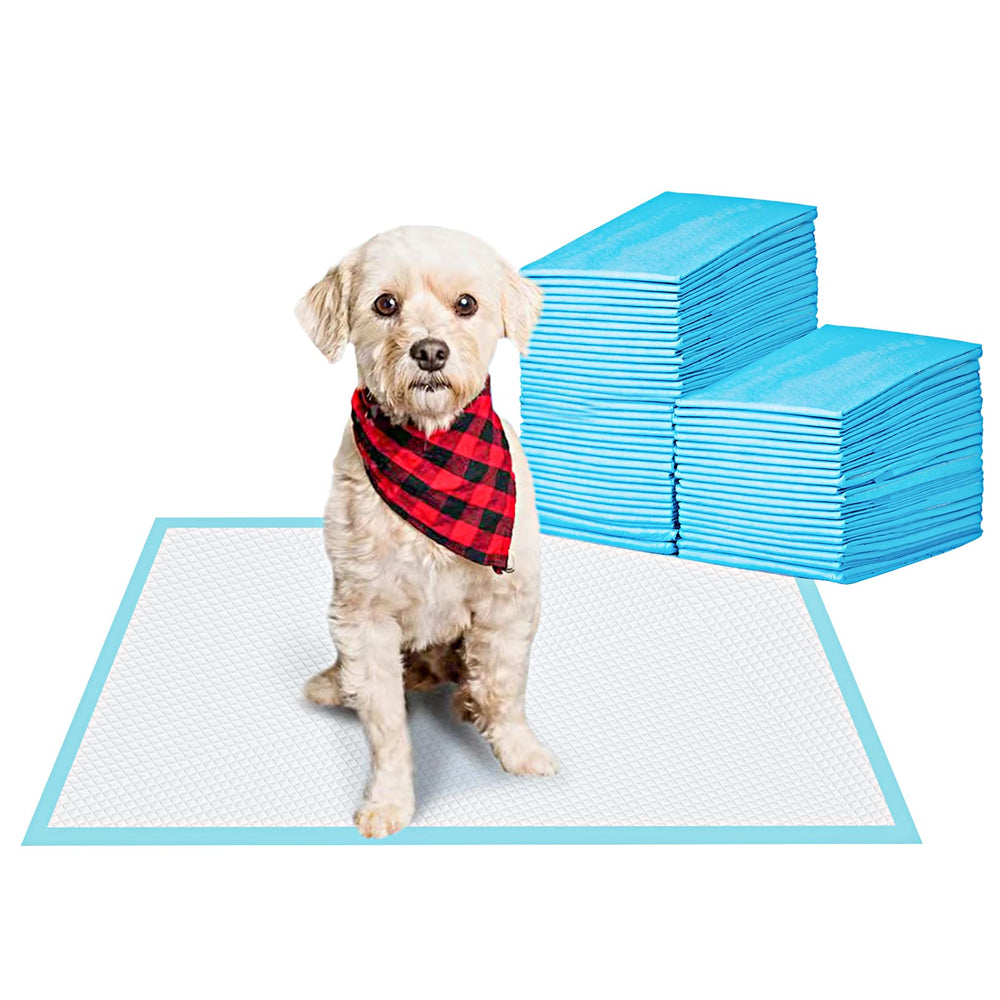 Tapis BESTLE d’apprentissage pour chien 22x22, absorption élevée et pratique.