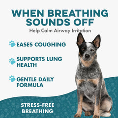 Pellets BestLife4Pets Breathe Easy qui se dissolvent facilement dans l'eau.