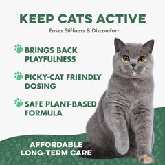 BestLife4Pets Chat: formule végétale pour la mobilité et le confort des articulations