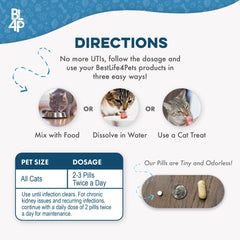 BestLife4Pets soutien rein chat, solution naturelle pour le bien‑être rénal.