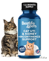 BestLife4Pets chat uti remède, bouteille de pilules pour soutien rénal potentiel.