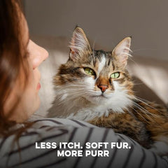 BestLife4Pets comprimés sans odeur – faciles à dissimuler dans la nourriture.