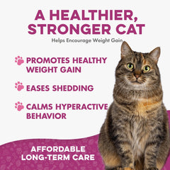 BestLife4Pets Gain Poids Chat: ajout facile dans la nourriture pour soutenir l'appétit.