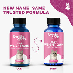 BestLife4Pets Gain Poids Chat: dosage facile avec pellets pour un repas sans effort.