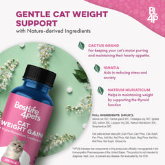 BestLife4Pets Gain Poids Chat: routine facile pour un pelage plus sain.