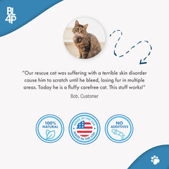 BestLife4Pets Immunité Chat – Petites pilules sans odeur, facile à dissimuler dans la nourriture.