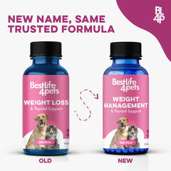 BestLife4Pets – pilules sans saveur dissolvables dans l'eau, pratique pour chiens et chats.