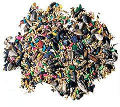 Assiette Better Bird présentant l’alimentation quotidienne pour calopsitte.
