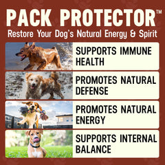 Better Dog Supplements Pack Protector – cuillère-mesure pour dosage précis