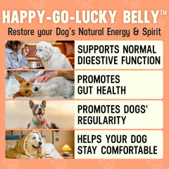 Better Dog Supplements par Cesar Millan – cuillère-dose montrant dosage pratique pour chiens.