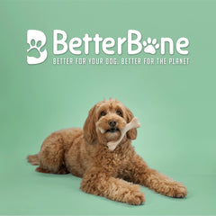 BetterBone texture reliefs dentaires : stimulation dentaire sans nylon.