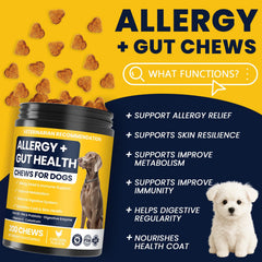 BFDEREN Immunite chien — soutien peau et poil, bouchées quotidiennes.
