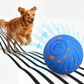 BFFWOW balle interactive en mouvement pour chiens moyens et grands, stimulation et amusement.