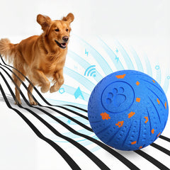 BFFWOW balle interactive en mouvement pour chiens moyens et grands, stimulation et amusement.
