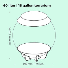 BiOrb AIR 60: terrarium blanc offrant une vue nette et élégante