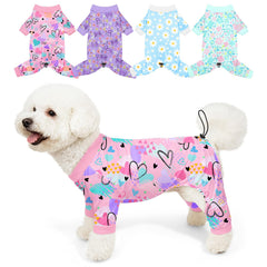 Bienbee pyjamas chien motif dinosaure pour moments calmes et photos