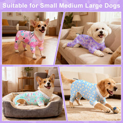 Bienbee pyjamas chien motif papillon idéal pour séances photos
