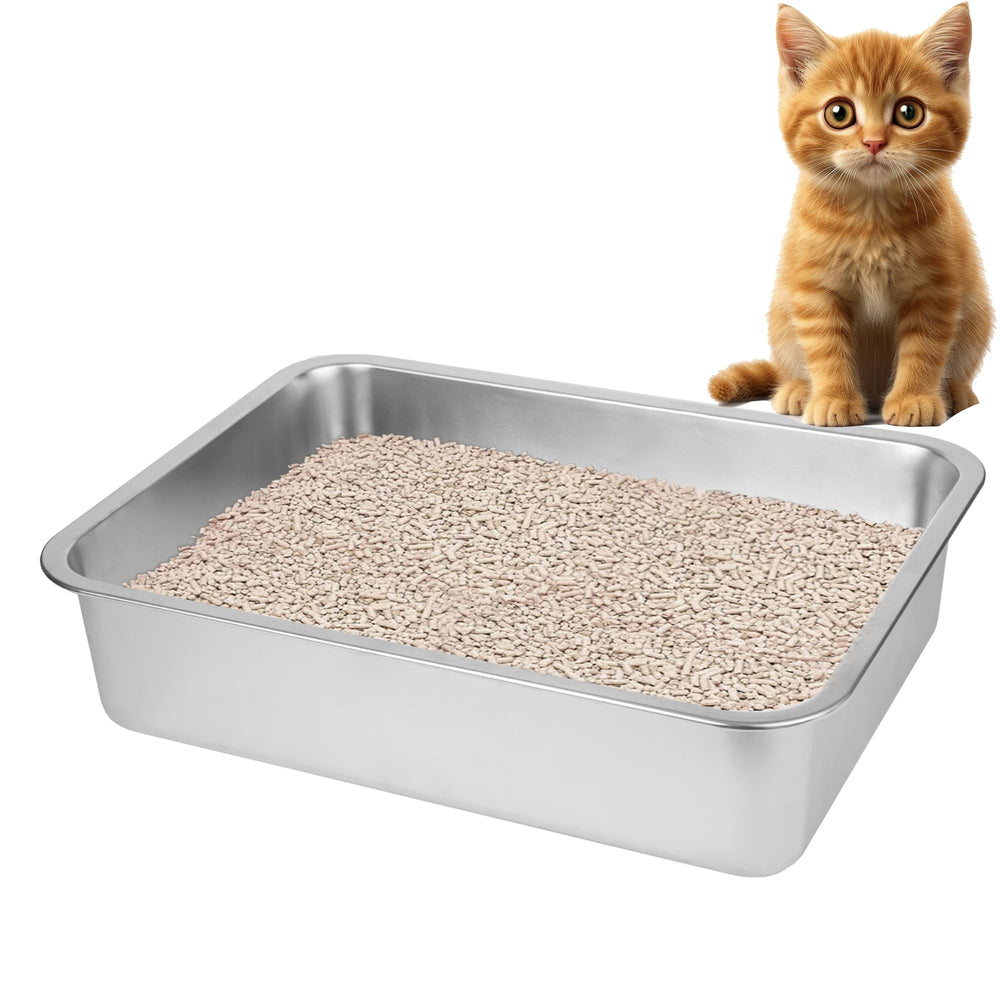 BierBear litière inox pour chats grands formats, hygiénique et facile à nettoyer.