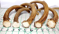 Big Dog Antler Chews bords lisses sans arêtes pour chien.