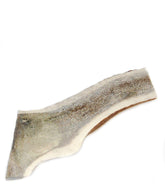 Big Dog Antler Chews, corne d’élan moitie exposee, mastication prolongee