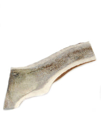 Big Dog Antler Chews, corne d’élan moitie exposee, mastication prolongee