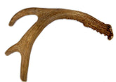 Big Dog Antler Chews corps-de-cerf-entier, idéal pour chiens moyens et grands.