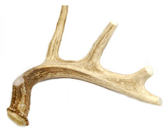 Big Dog Antler Chews – corne de cerf entière XL, durable et naturelle pour grands chiens.