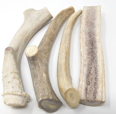 Big Dog Antler Chews – morceaux individuels calciums naturels et minéraux