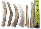 Big Dog Antler Chews: ensemble de 6 morceaux de ramure, aliment naturel durable pour petits chiens.